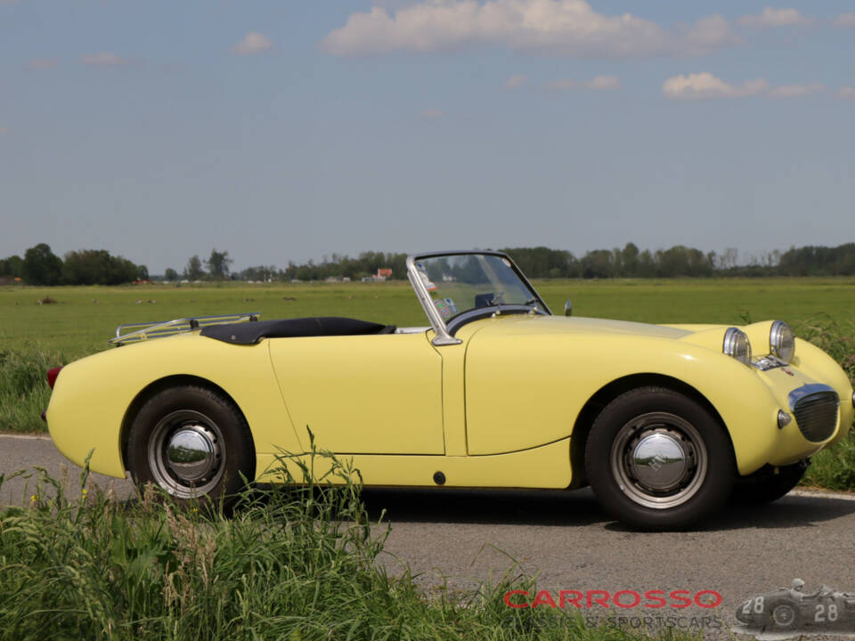 Immagine 36/44 di Austin-Healey Sprite Mk I (1959)