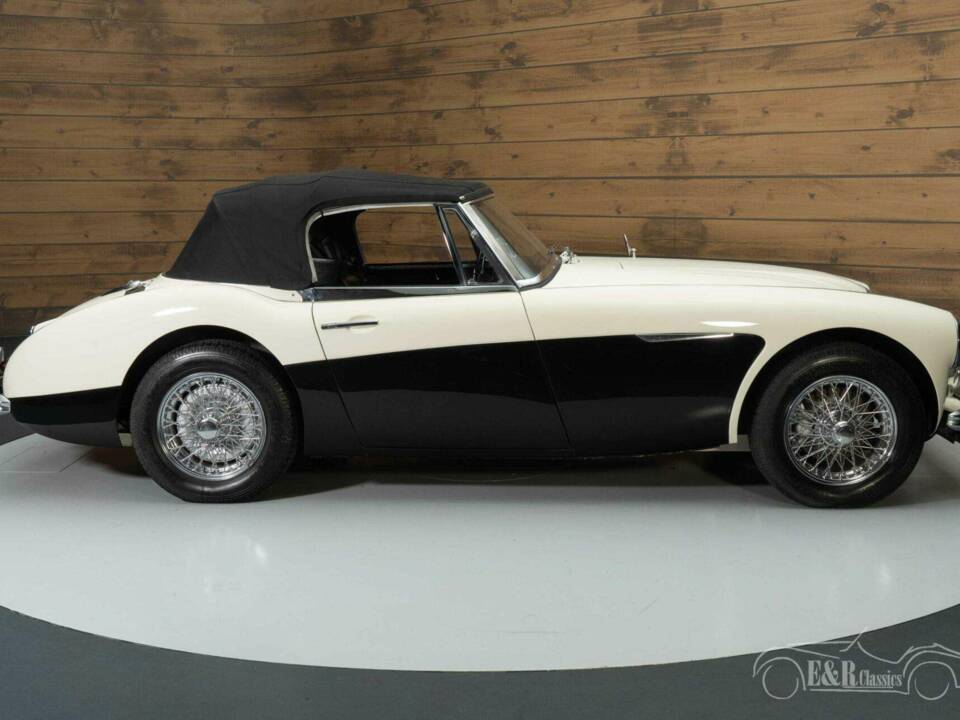 Immagine 14/19 di Austin-Healey 3000 Mk III (BJ8) (1964)