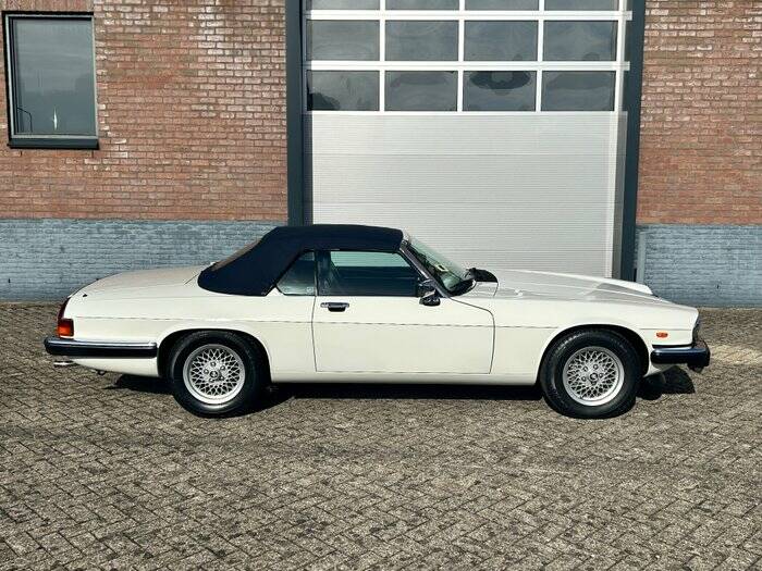 Bild 5/7 von Jaguar XJS 5.3 V12 (1988)