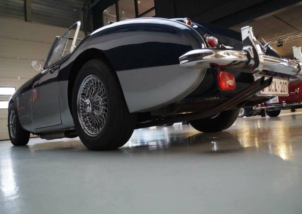 Immagine 46/50 di Austin-Healey 3000 Mk II (BN7) (1961)