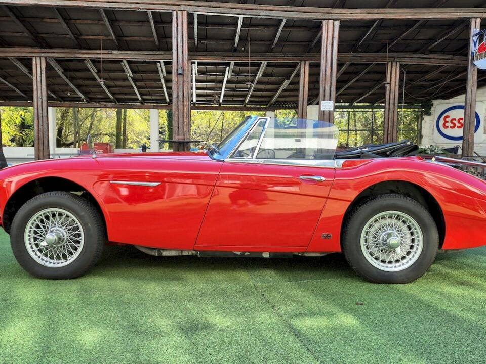 Imagen 3/53 de Austin-Healey 3000 Mk III (BJ8) (1965)
