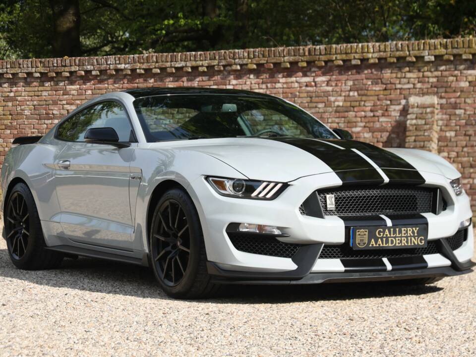 Image 19/50 of Ford Mustang Shelby GT 350 (2017)