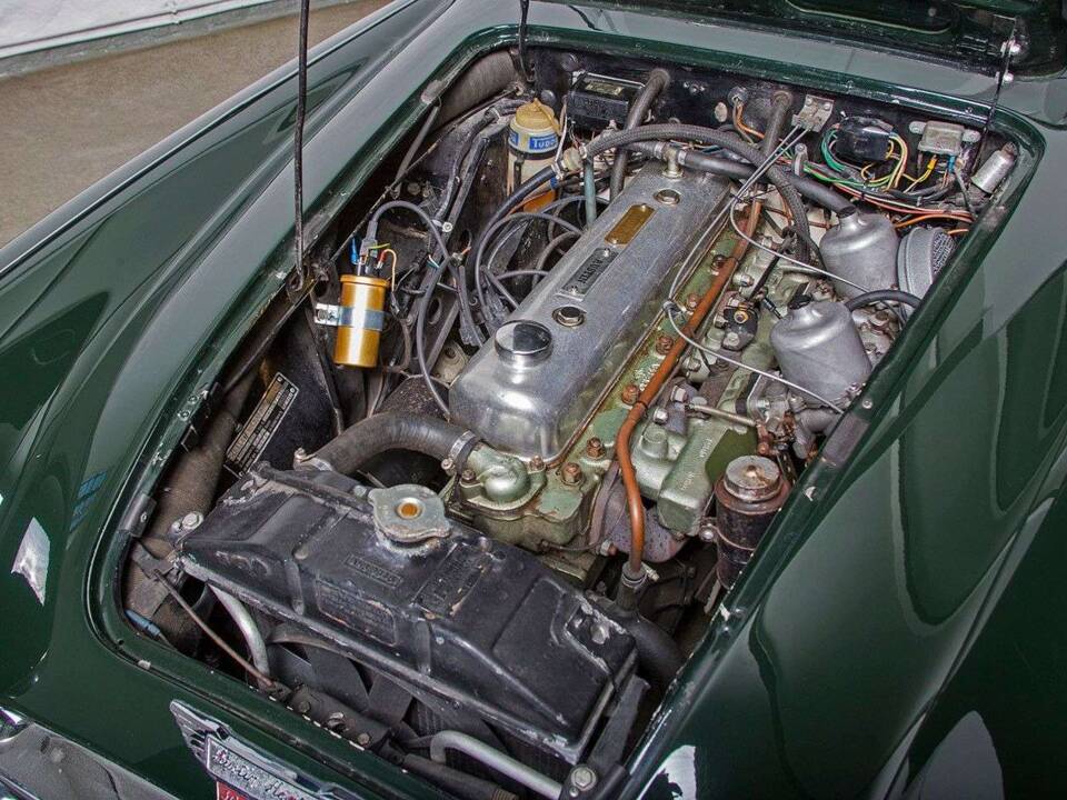 Imagen 20/20 de Austin-Healey 3000 Mk III (BJ8) (1966)