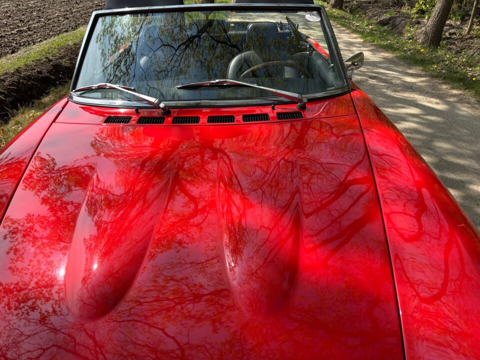 Bild 13/34 von FIAT 124 Spider CS1 (1978)