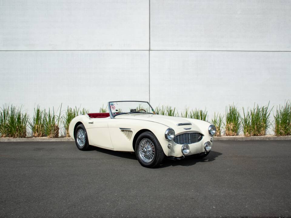 Afbeelding 1/24 van Austin-Healey 100/6 (BN4) (1957)