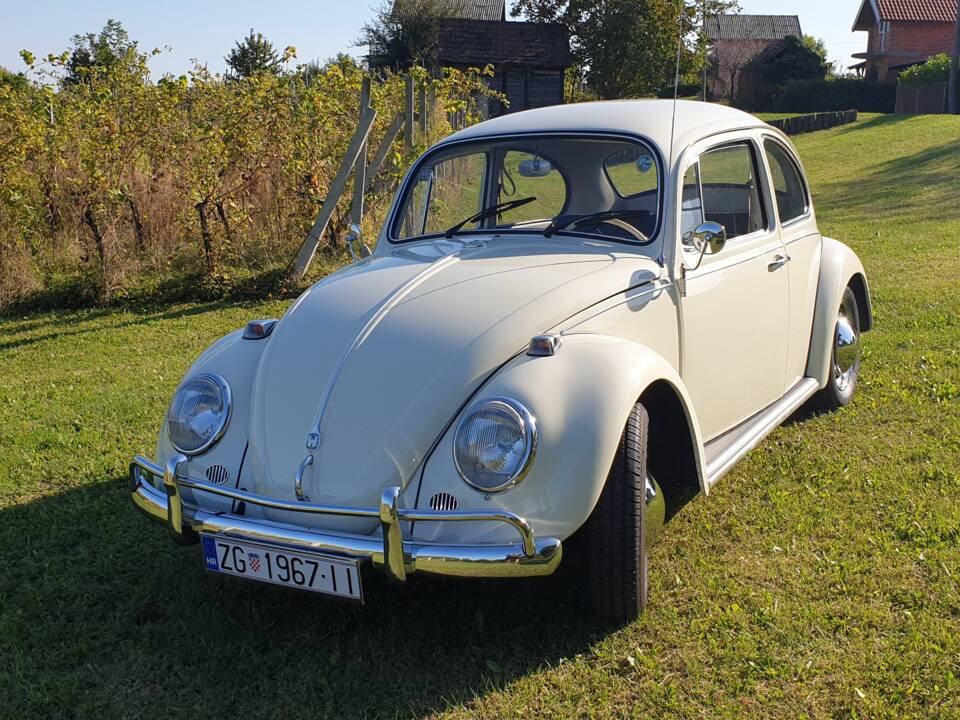 Bild 6/10 von Volkswagen Beetle 1300 (1967)