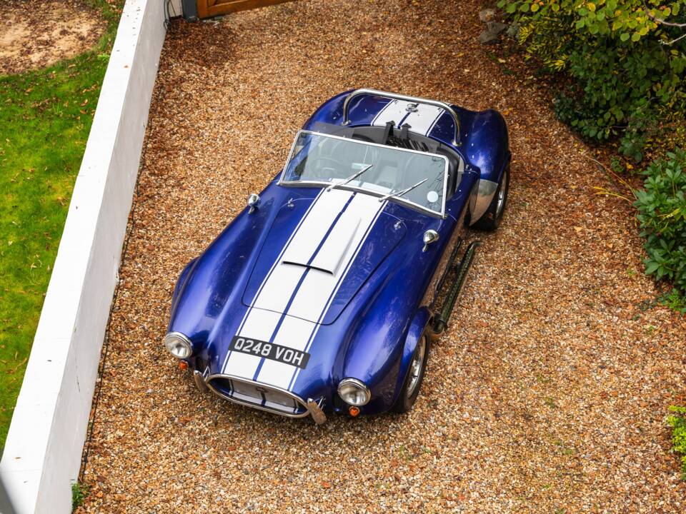 Bild 21/50 von AC Cobra 289 (1997)