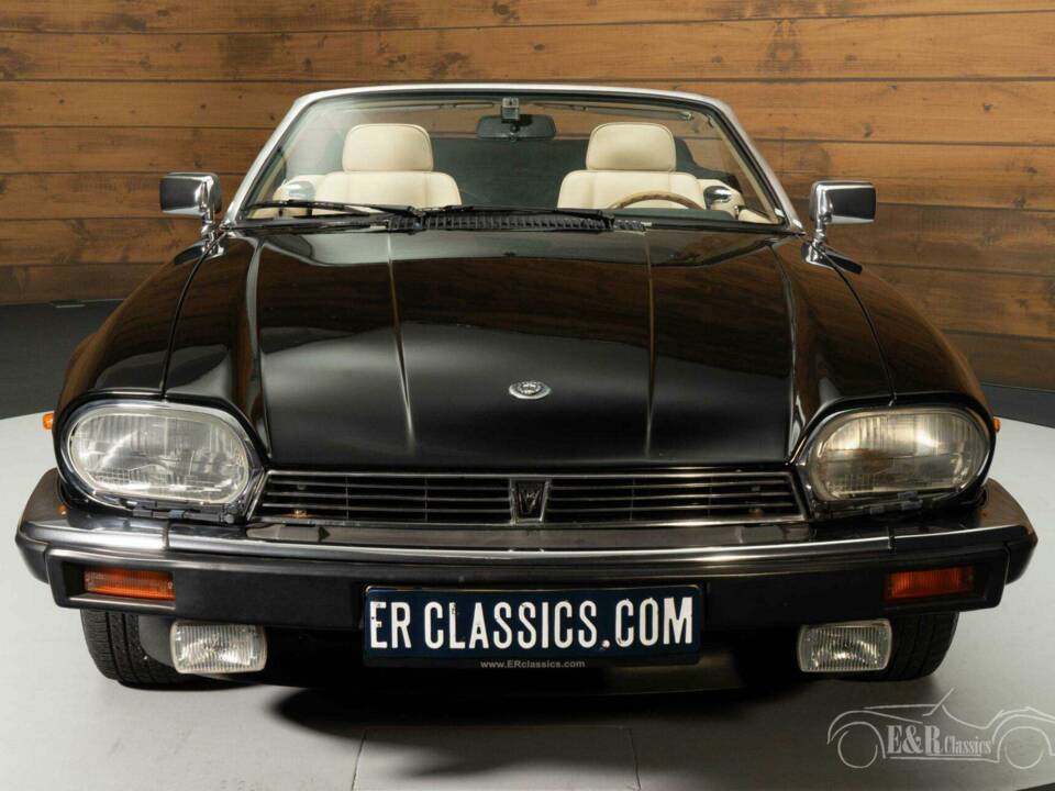 Image 12/19 of Jaguar XJ-S H.E. (1989)