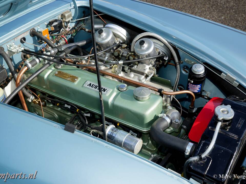 Imagen 5/20 de Austin-Healey 3000 Mk III (BJ8) (1966)