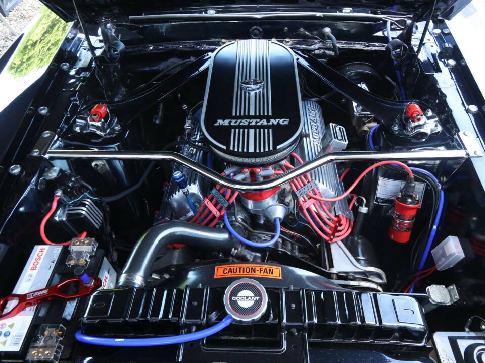 Image 48/50 of Ford Mustang 302 (1969)