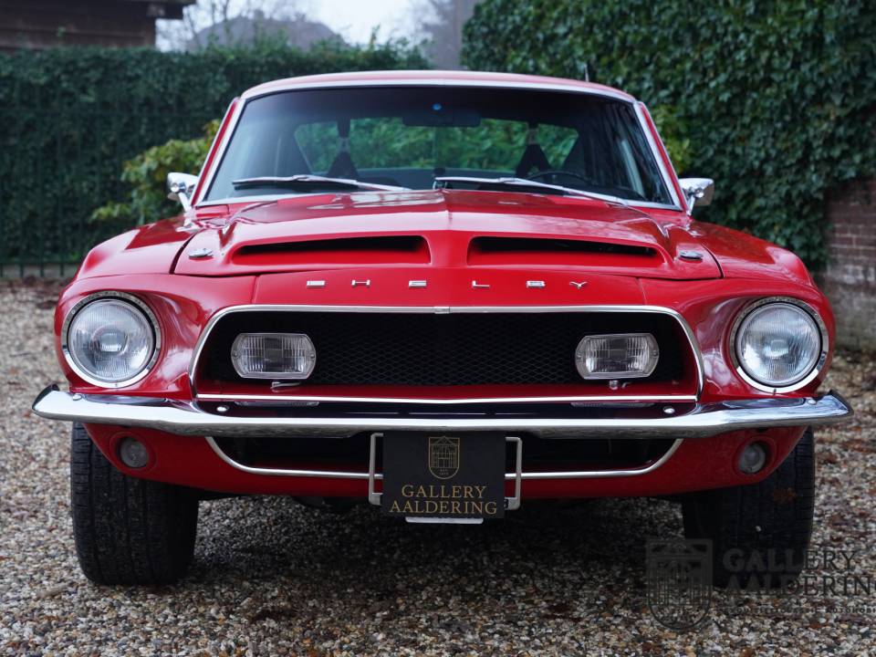 Image 44/50 de Ford Shelby GT 350 (1968)