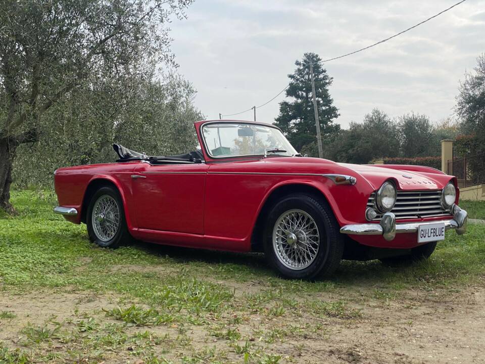 Image 5/33 of Triumph TR 4A IRS (1966)