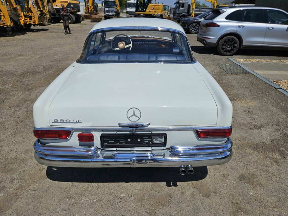 Immagine 7/8 di Mercedes-Benz 250 SE (1965)