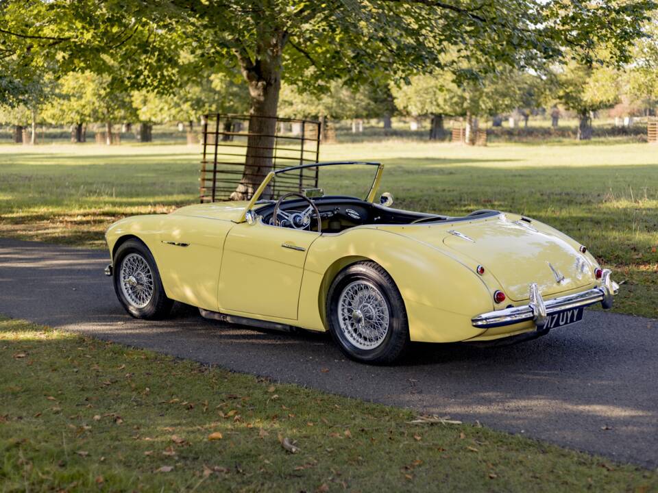Bild 19/50 von Austin-Healey 3000 Mk I (BT7) (1960)