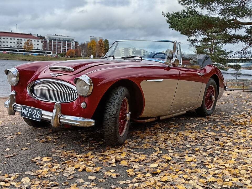 Immagine 2/23 di Austin-Healey 3000 Mk II (BJ7) (1964)