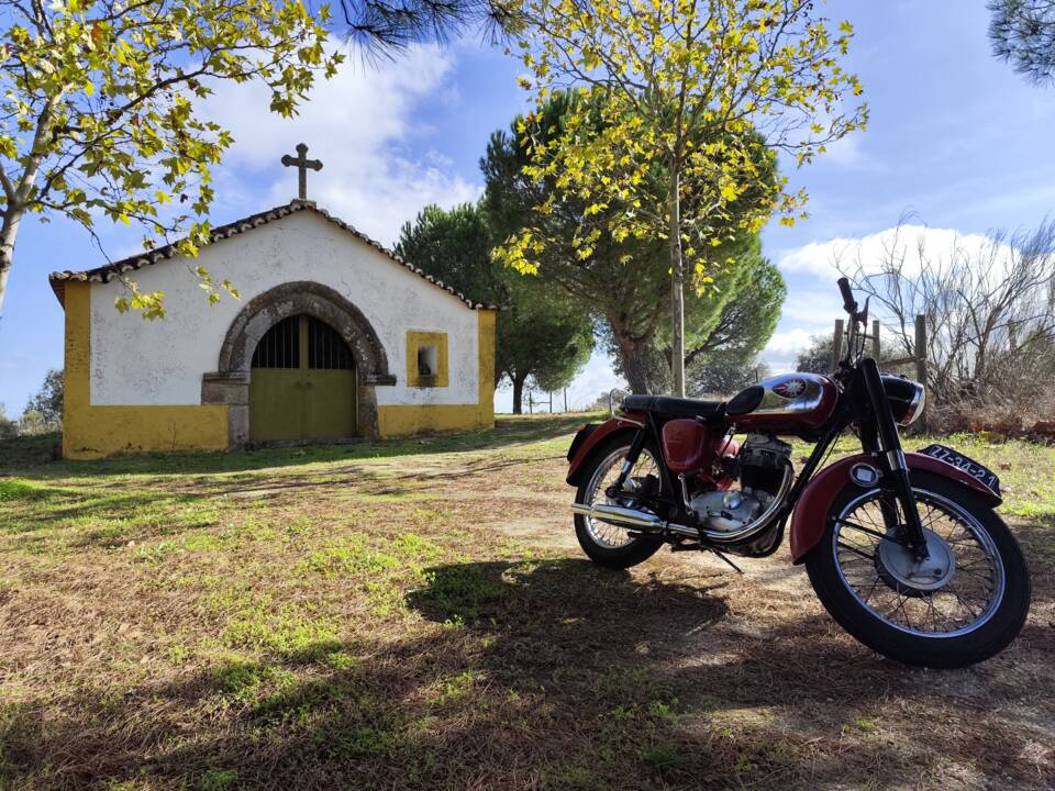 Image 38/51 of BSA B 44 (1966)