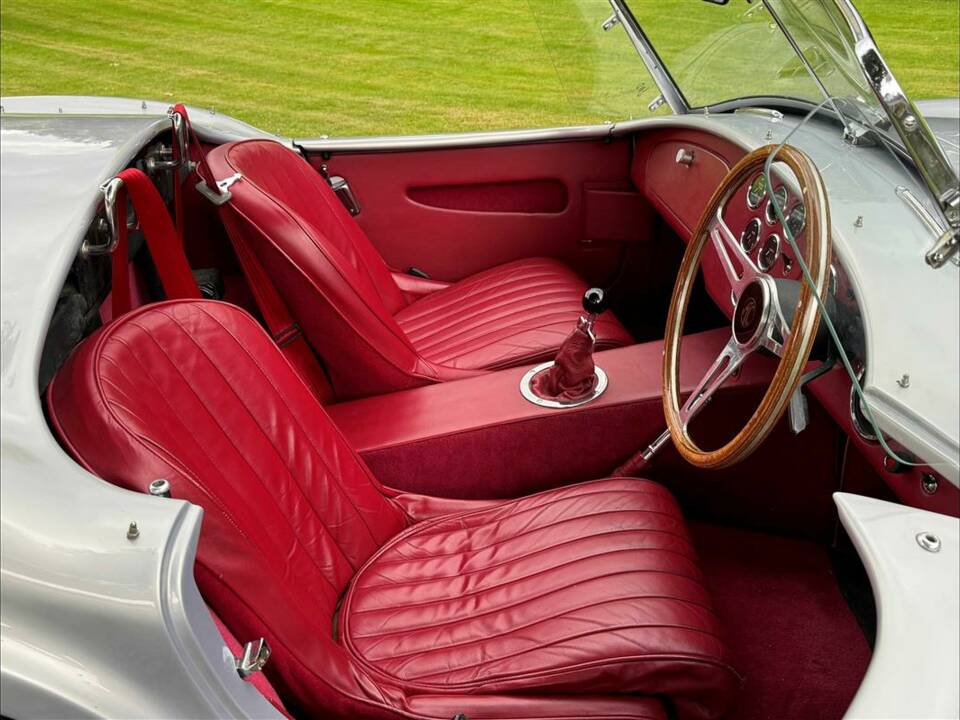 Bild 15/24 von AC Cobra 289 (2001)