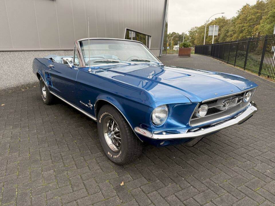 Bild 6/31 von Ford Mustang 289 (1967)