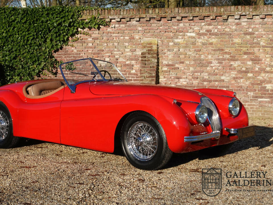Image 46/50 of Jaguar XK 120 OTS (1954)