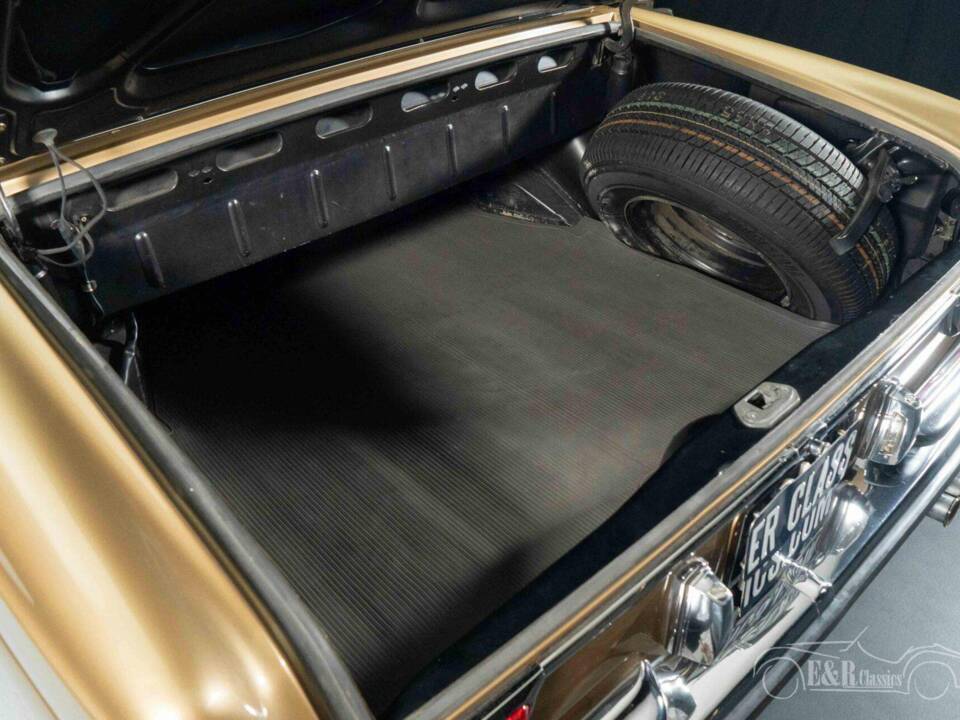 Immagine 11/19 di Mercedes-Benz 280 SE 3,5 (1971)