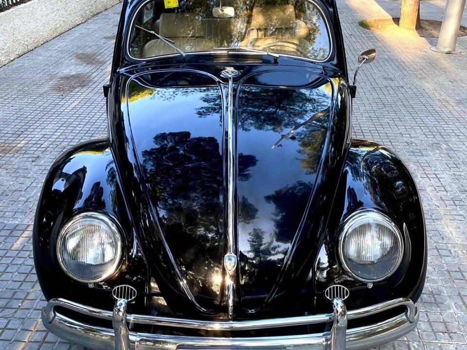 Image 3/14 de Volkswagen Käfer 1200 Export "Ovali" (1954)