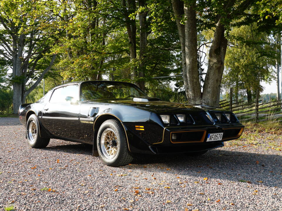 Image 4/69 of Pontiac Firebird TransAm (1979)