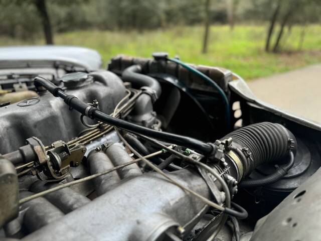 Imagen 42/42 de Mercedes-Benz 250 SE (1967)