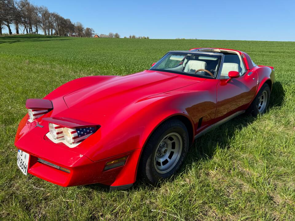 Image 15/20 of Chevrolet Corvette Sting Ray (1980)