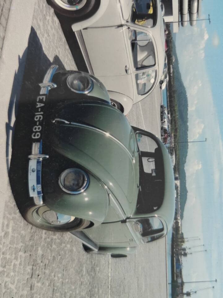 Bild 22/54 von Volkswagen Beetle 1100 Standard (Brezel) (1950)