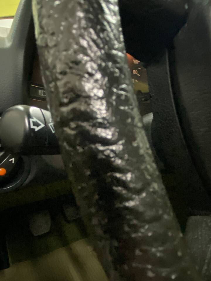 Bild 35/71 von Mercedes-Benz 250 (1979)