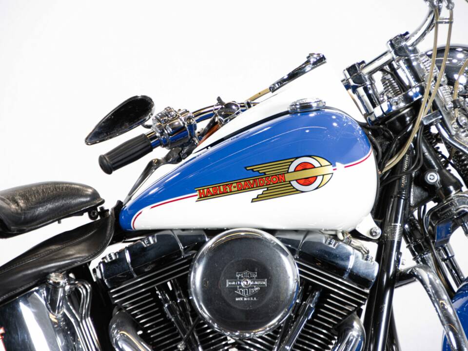 Immagine 36/50 di Harley-Davidson FXSTS Softail Springer (2000)