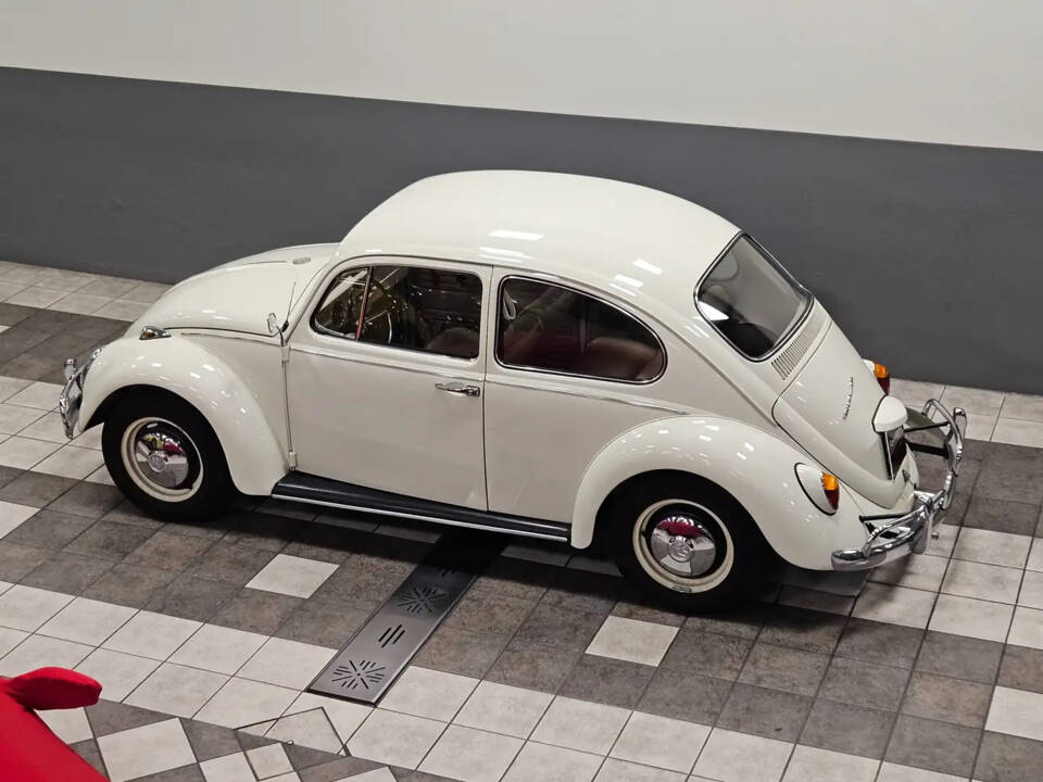 Bild 6/13 von Volkswagen Kever 1300 (1967)