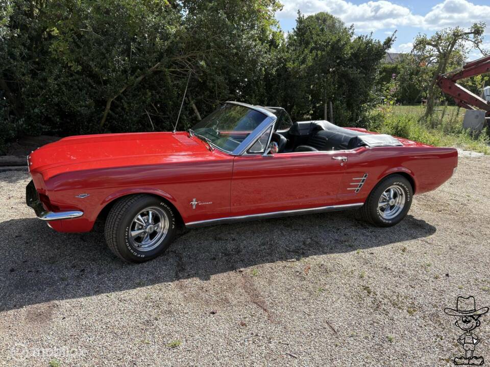 Bild 4/50 von Ford Mustang 289 (1966)