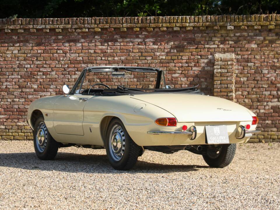 Image 49/50 of Alfa Romeo 1600 Duetto (1967)