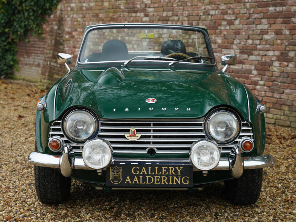 Immagine 6/50 di Triumph TR 4A IRS (1966)