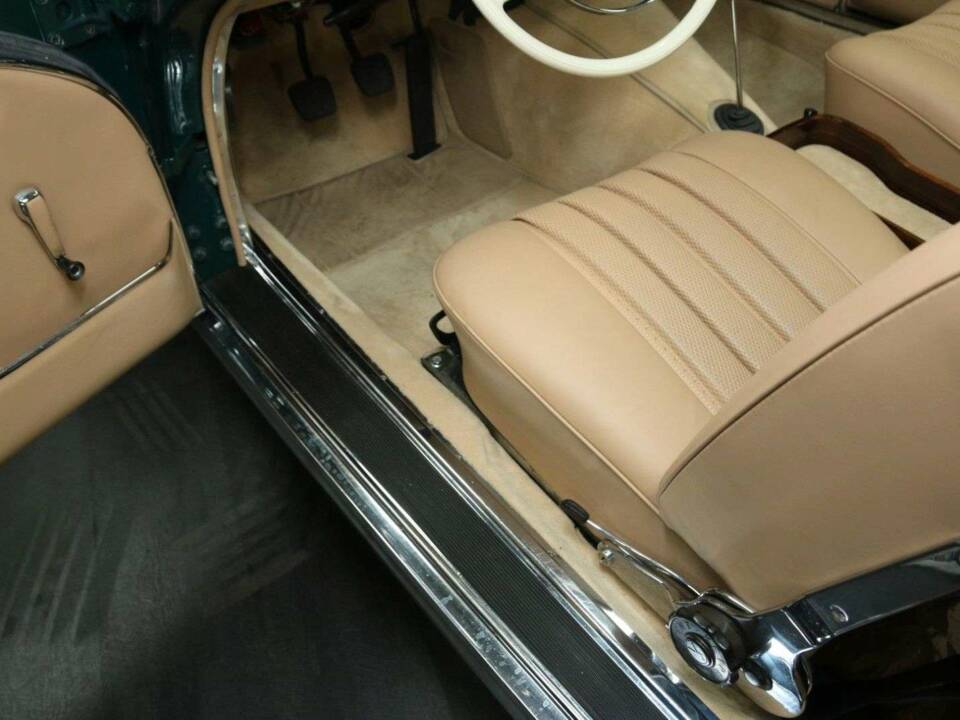 Bild 13/50 von Mercedes-Benz 250 SE (1966)