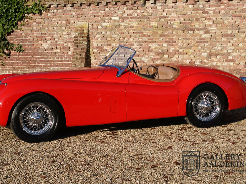 Image 42/50 of Jaguar XK 120 OTS (1954)