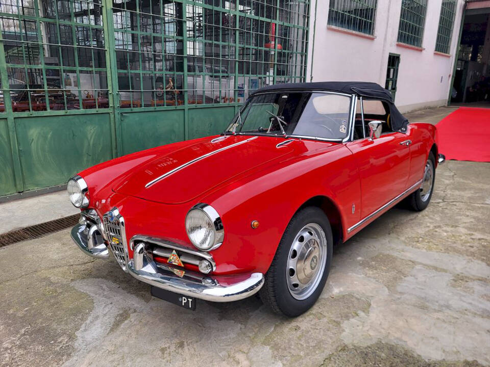 Image 50/65 of Alfa Romeo Giulietta Spider (1962)