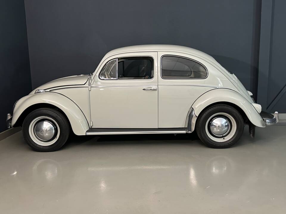 Image 8/61 of Volkswagen Beetle 1200 Standard &quot;Dickholmer&quot; (1960)