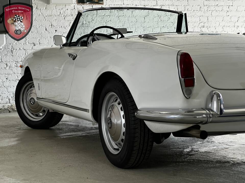 Bild 74/77 von Alfa Romeo Giulia 1600 Spider Veloce (1965)