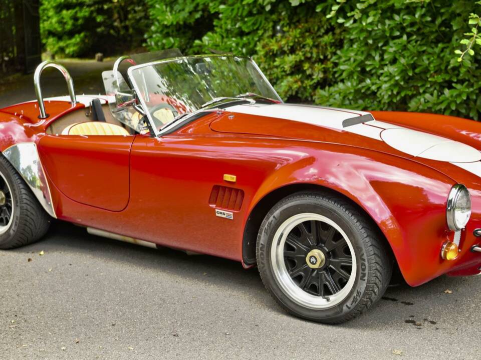 Bild 5/50 von AC Cobra 289 (2000)