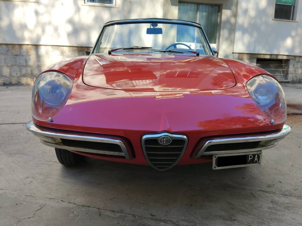 Immagine 1/9 di Alfa Romeo 1600 Spider Duetto (1966)