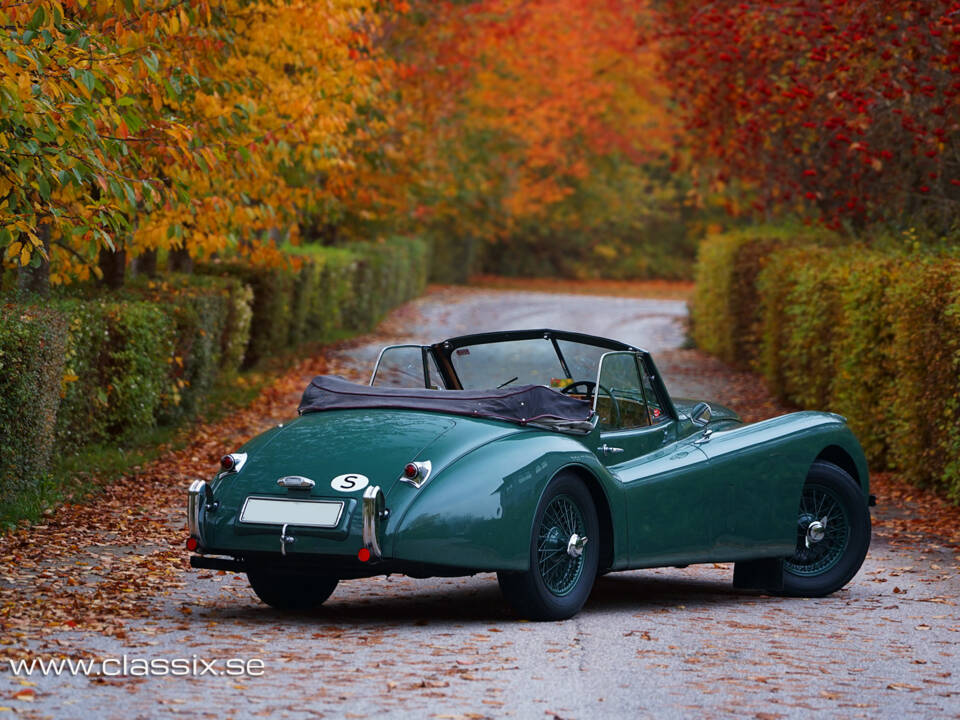 Afbeelding 6/23 van Jaguar XK 120 DHC (1954)