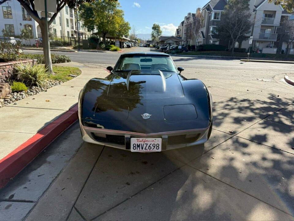 Bild 16/50 von Chevrolet Corvette 25th Anniversary (1978)