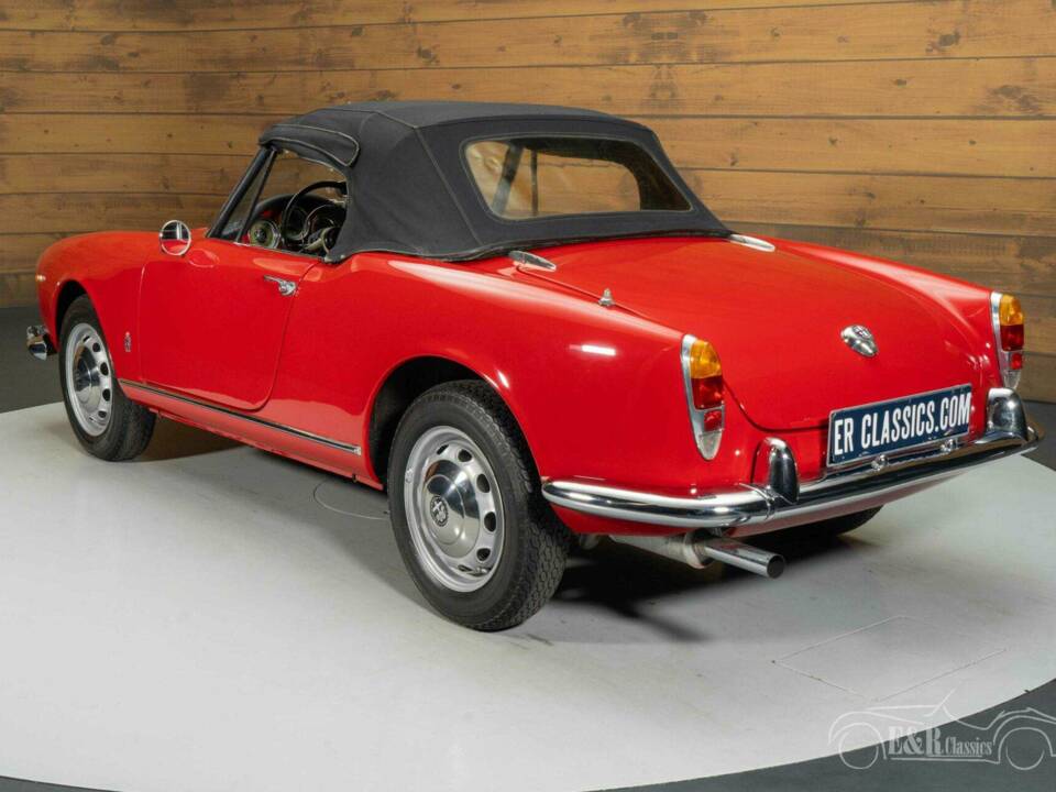Afbeelding 15/17 van Alfa Romeo Giulietta Spider (1961)