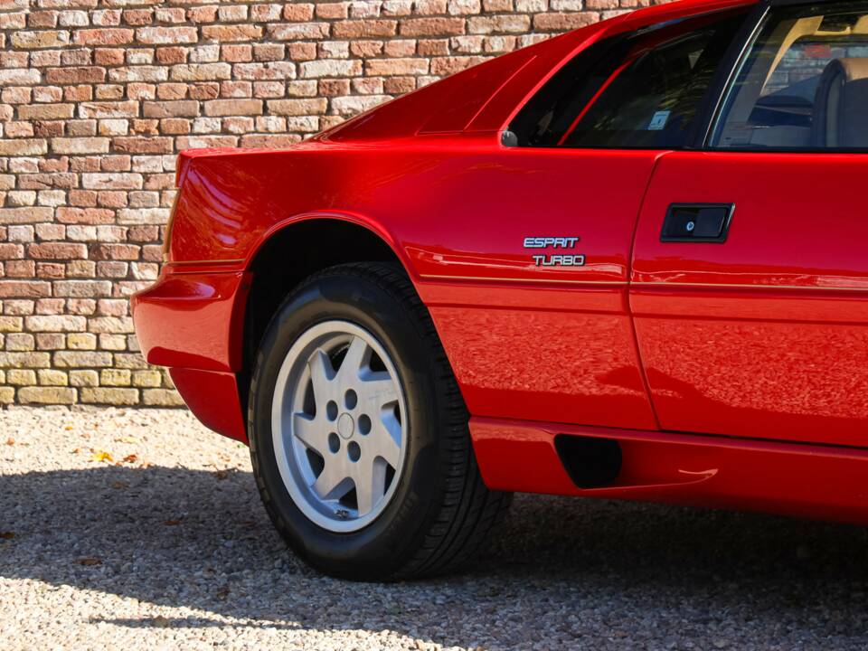 Image 41/50 of Lotus Esprit SE (1992)