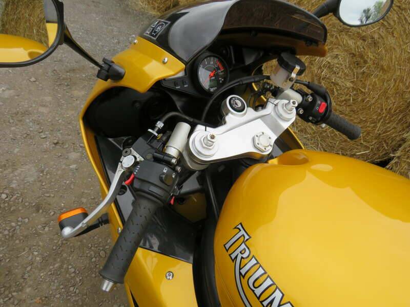 Image 8/39 of Triumph DUMMY (2006)