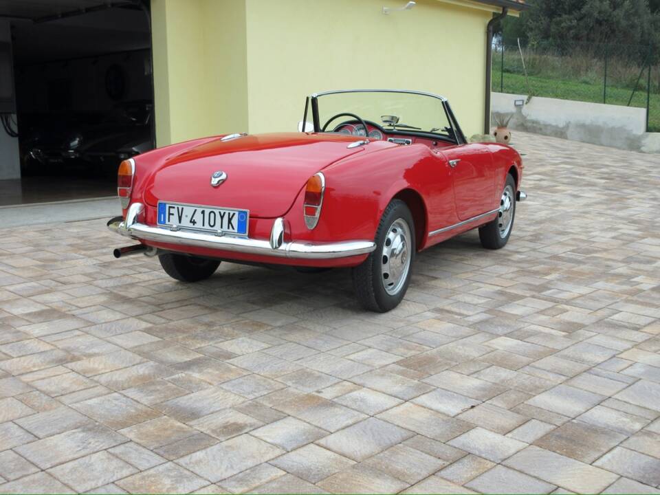 Bild 12/57 von Alfa Romeo Giulietta Spider (1961)