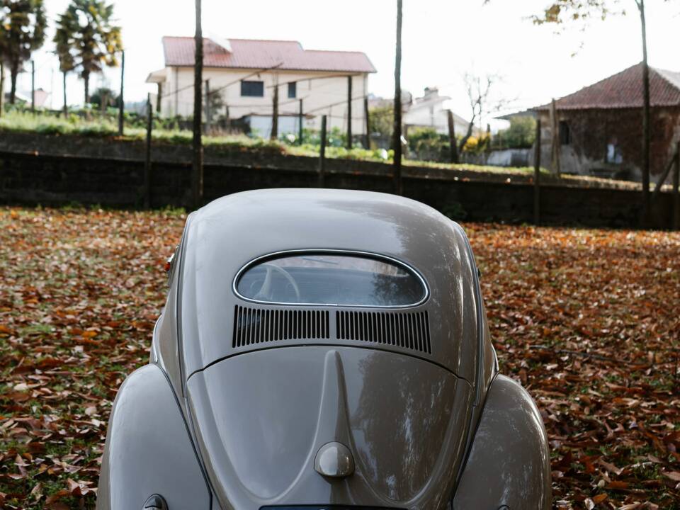 Immagine 7/56 di Volkswagen Maggiolino 1100 Standard "Ovali" (1954)