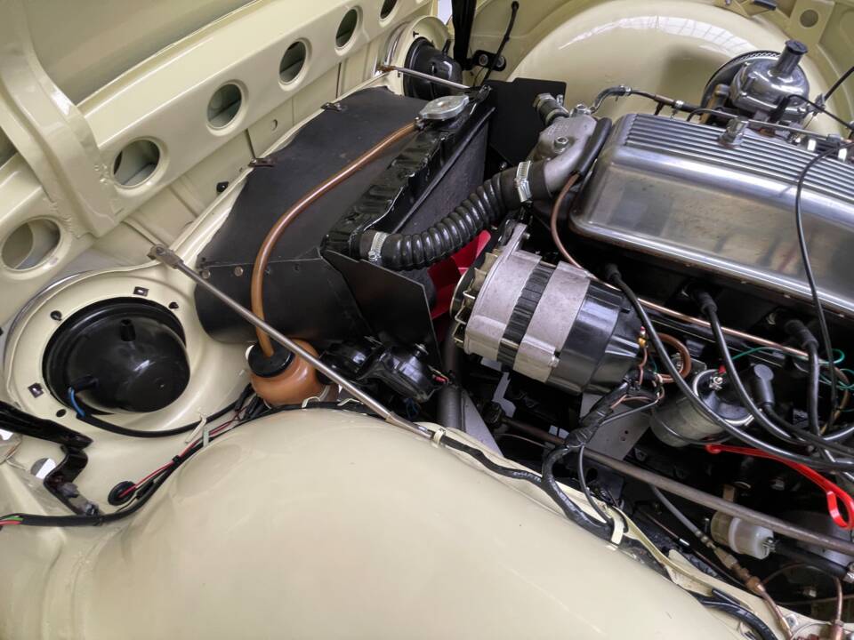 Afbeelding 25/39 van Triumph TR 250 (1967)